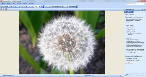 Редактирование-изображения-в-Microsoft-Picture-Manager.-сжатие-рисунков-для-веб-страниц