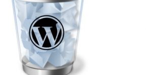 Управление корзиной Wordpress. Автоматическая очистка корзины