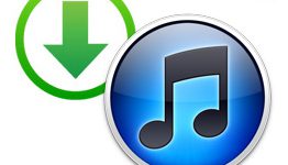 Как установить и настроить iTunes