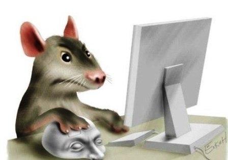 Причины неисправности компьютерной мышки