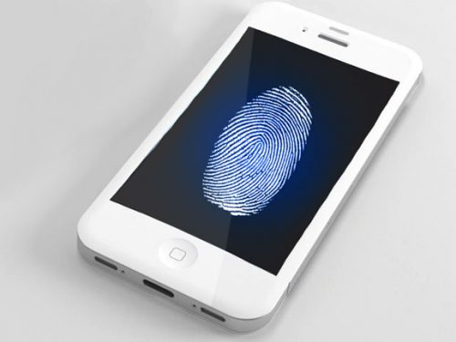 1-fingerprint
