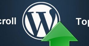 Добавляем кнопку "наверх" на Wordpress без плагина