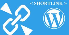 Как убрать короткую ссылку на запись в заголовке Wordpress