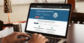 Как выбрать бесплатный хостинг для Wordpress