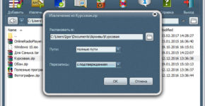 Обзор программы архиватора WindowsZIP