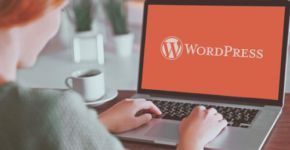 Преимущества и недостатки CMS Wordpress - особенности движка Вордпресс