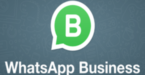 Чем отличается WhatsApp Business