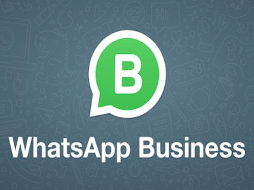 Чем отличается WhatsApp Business